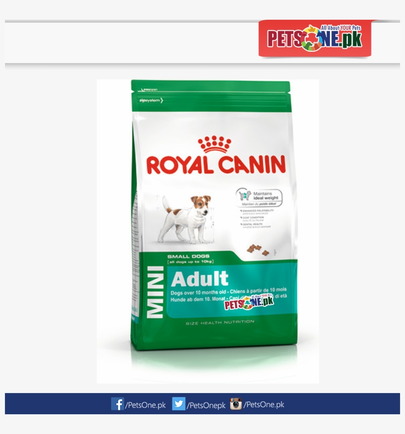 Royal Canin Mini Adult In Pakistan, transparent png download