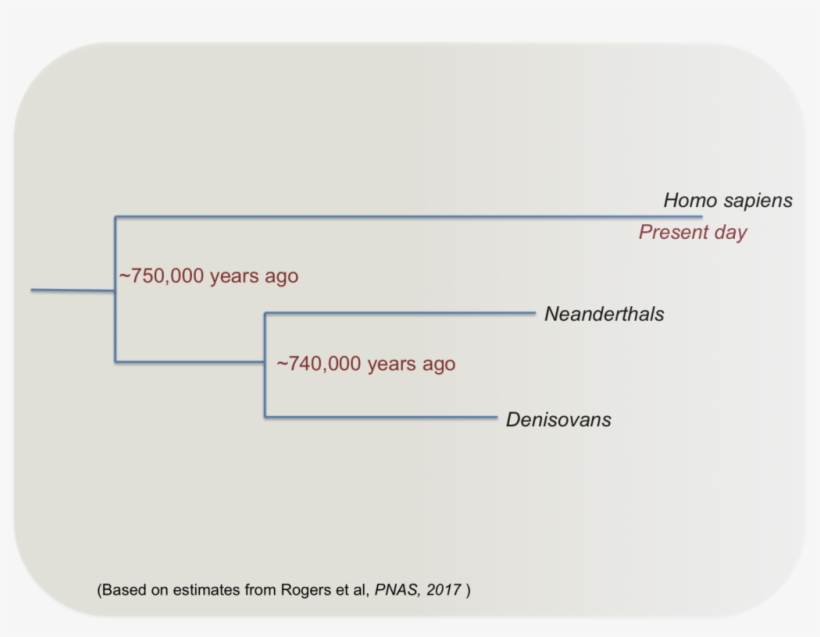 Such Regions Of The Human Genome, With Variable Methylation, transparent png download