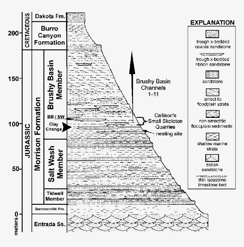 M#mesozoic Stratigraphic Section Exposed In The Area - Diagram, transparent png download