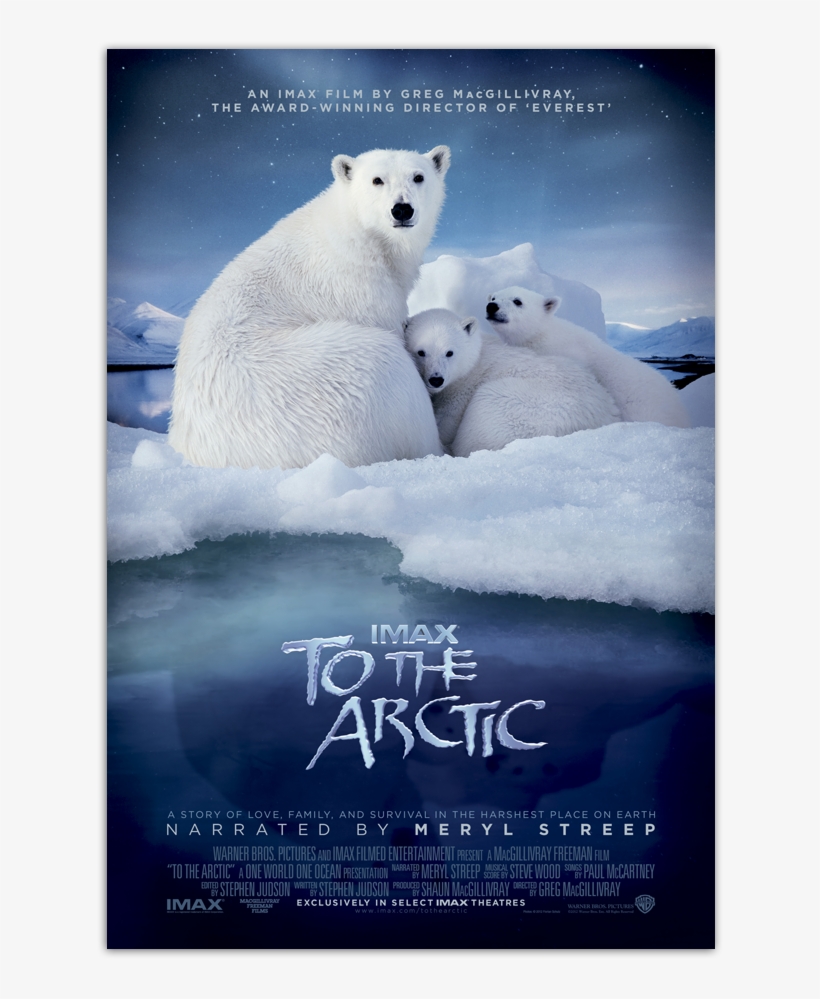 To The Arctic Poster, transparent png download