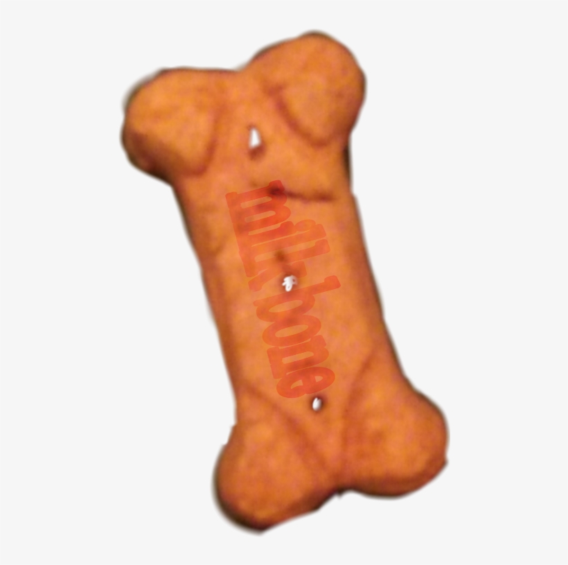 Dog, transparent png download