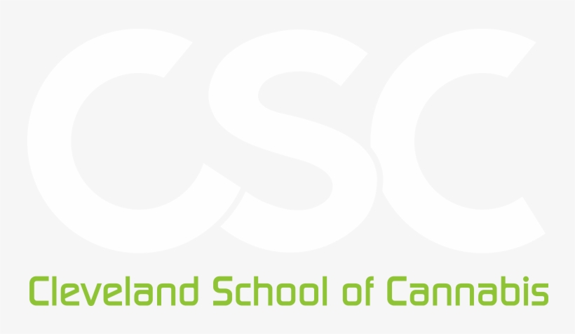 Sign Up For Our Newsletter - Online And Offline, transparent png download