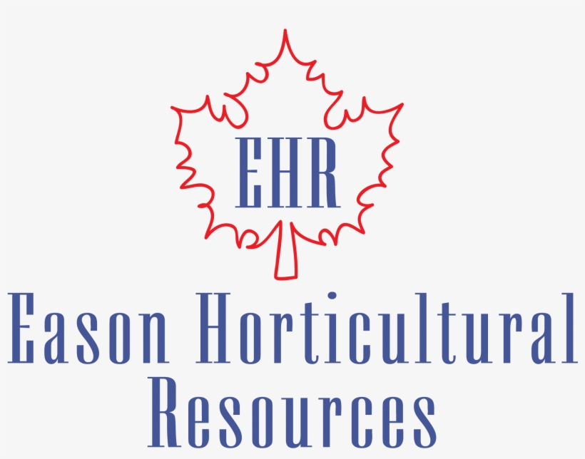 Dc Handicrafts Logo, transparent png download