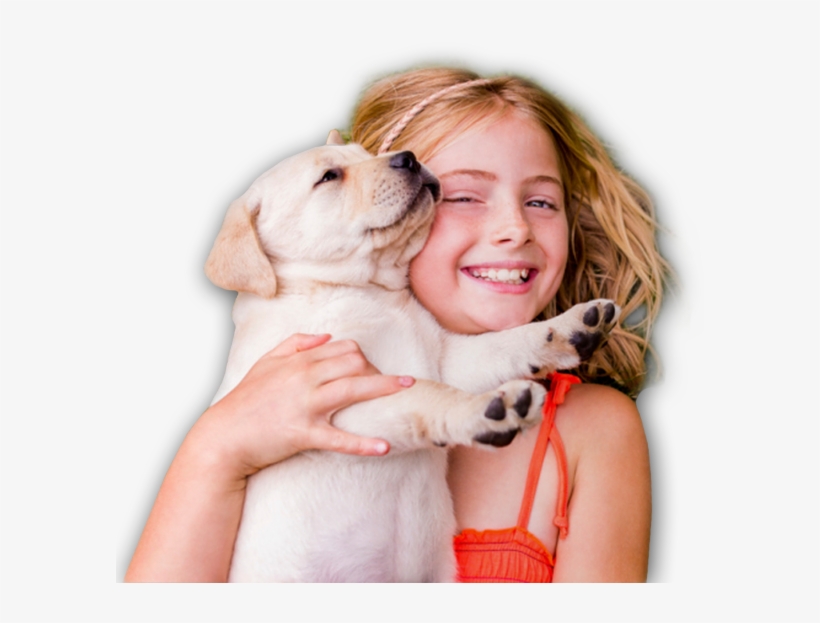 Kleenex Png, transparent png download