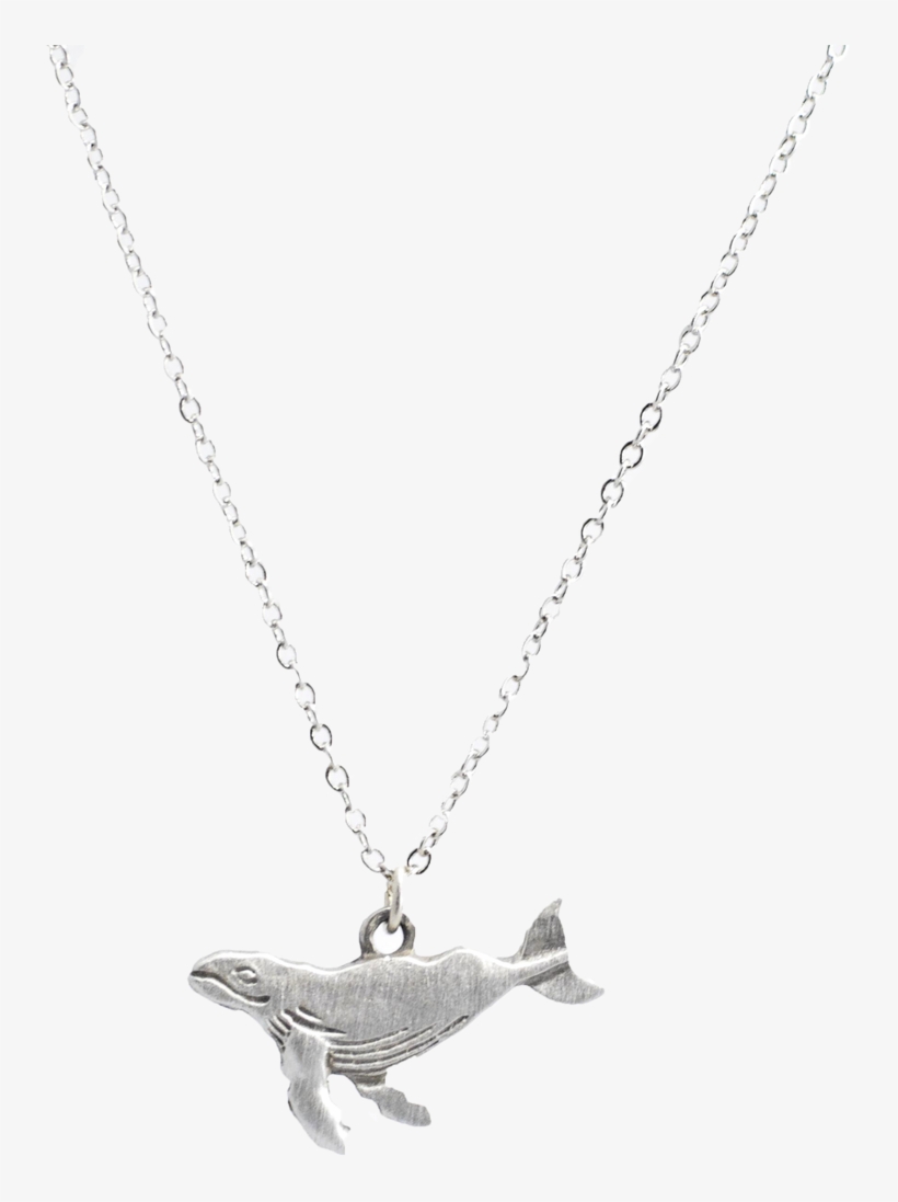 Small Whale Necklace - Pendant, transparent png download