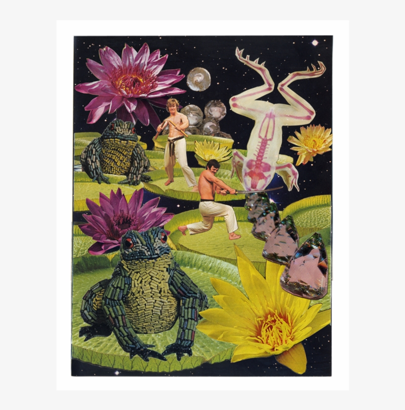 Frogger - Collage, transparent png download