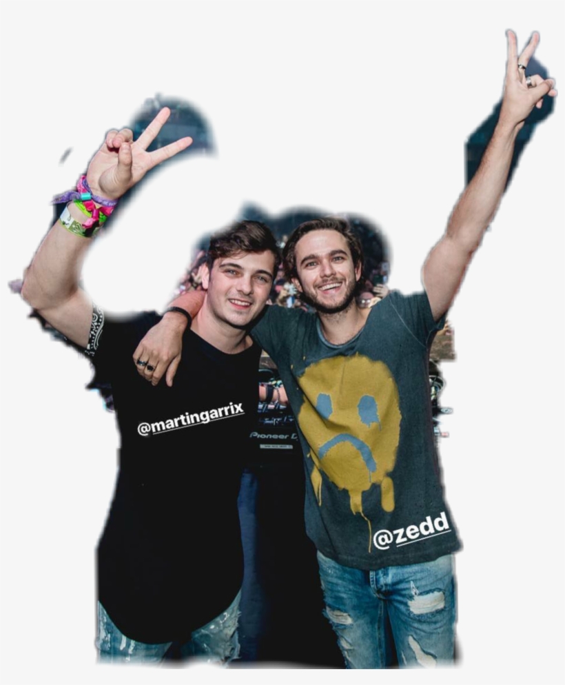 Zedd, transparent png download