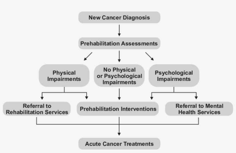 Reproduced From The Star Program And Used With Permission - Prehabilitation, transparent png download