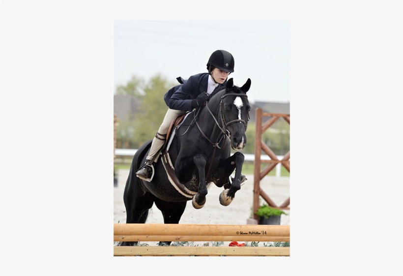 Happy Feet Owned And Ridden By Sloan Hopson Reserve - Stallion, transparent png download