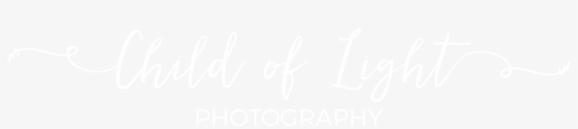Child Of Light Photography - Wordpress Logo White Png, transparent png download