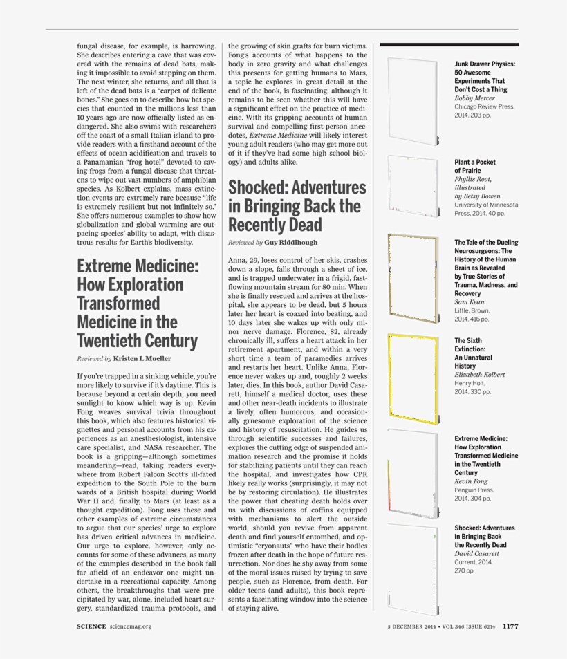 What - Document, transparent png download