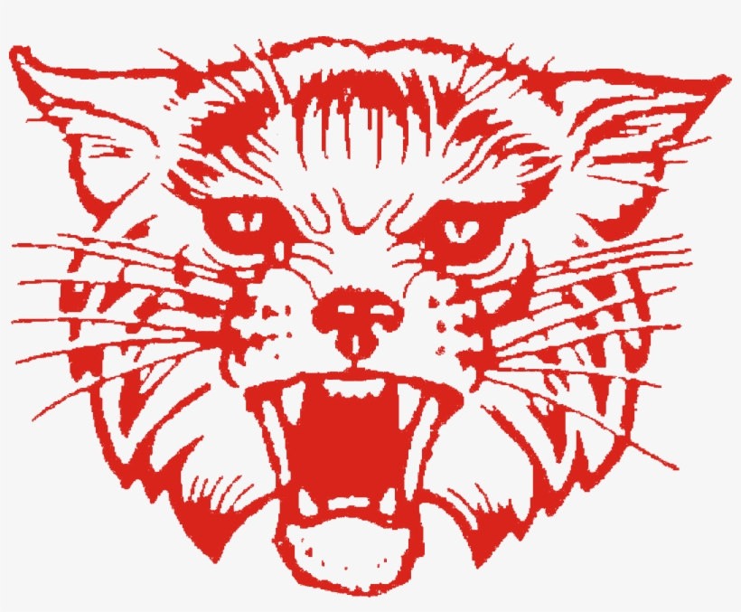 Kcs Wildcat 1 - Kenton Wildcats, transparent png download
