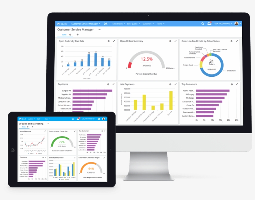 The Effective Enterprise Can Only Be Realized When - Qad Channel Islands, transparent png download