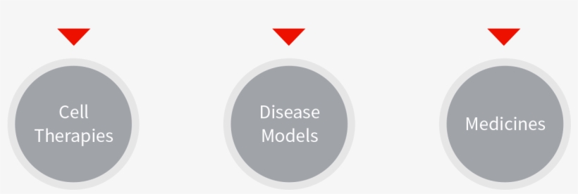 Shonan Health Innovation Park - Circle, transparent png download