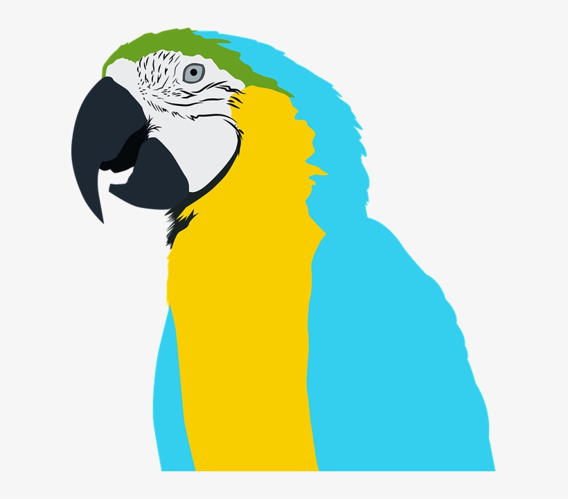 Cafepress Parrot Samsung Galaxy S7 Case, transparent png download