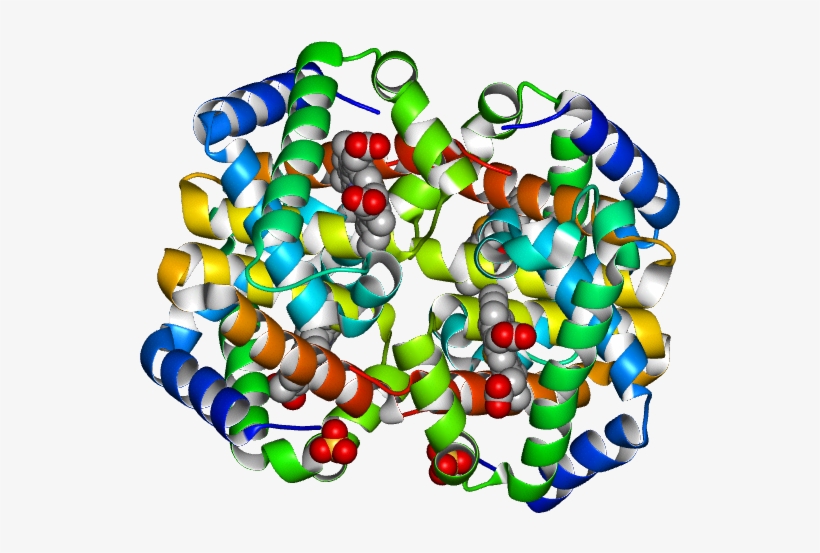 Molmil Generated Image Of 2hhd - Heart, transparent png download