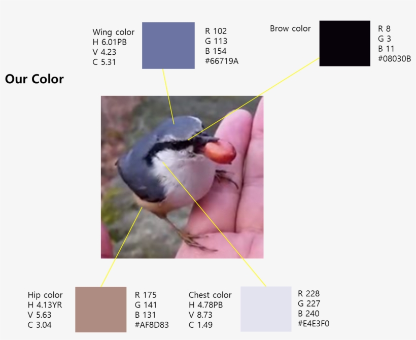 Color Of Qbirdie - Computer Vision Syndrome, transparent png download