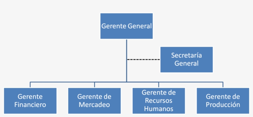 Organigrama De Gerencia - Organigrama De Gerente General, transparent png download