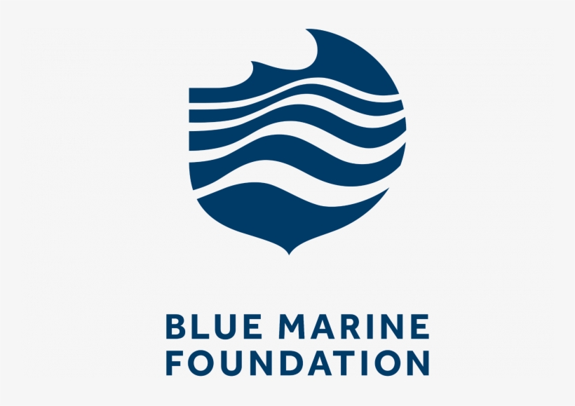 But The Problem Is Solvable - Blue Marine Foundation Logo, transparent png download