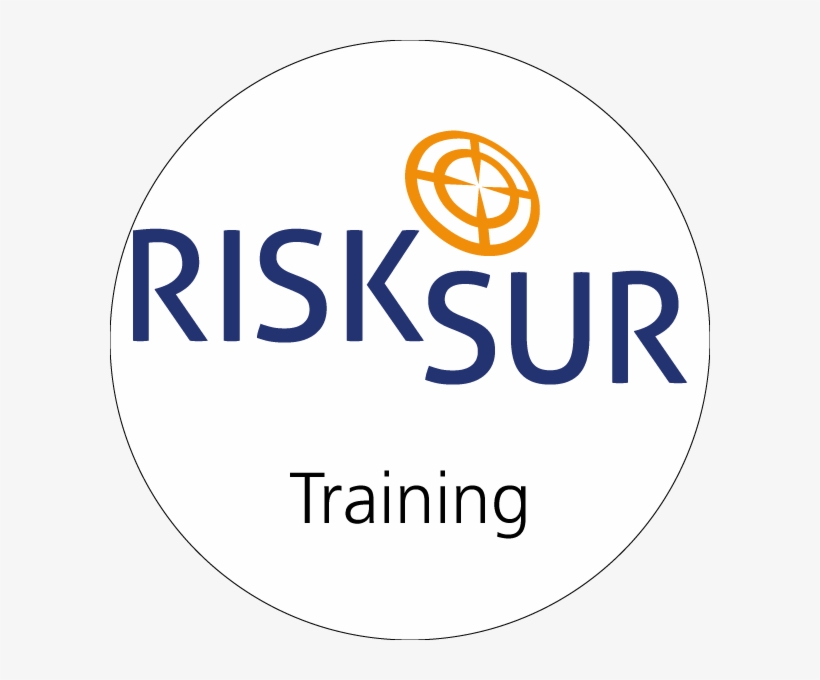 Risksur Training Modules - Excelsior College Logo Png, transparent png download