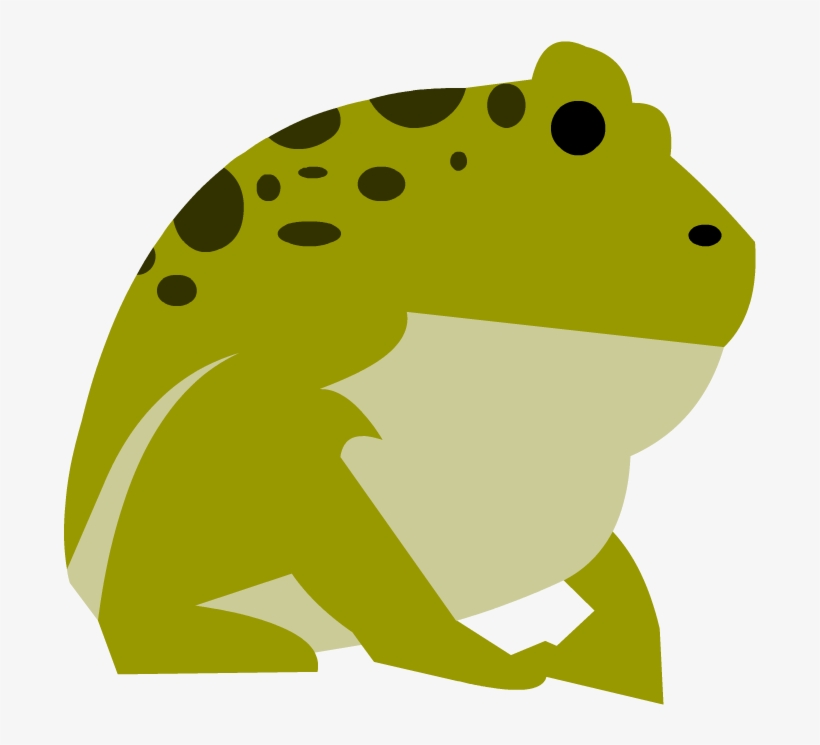 Amphibians - Science, transparent png download