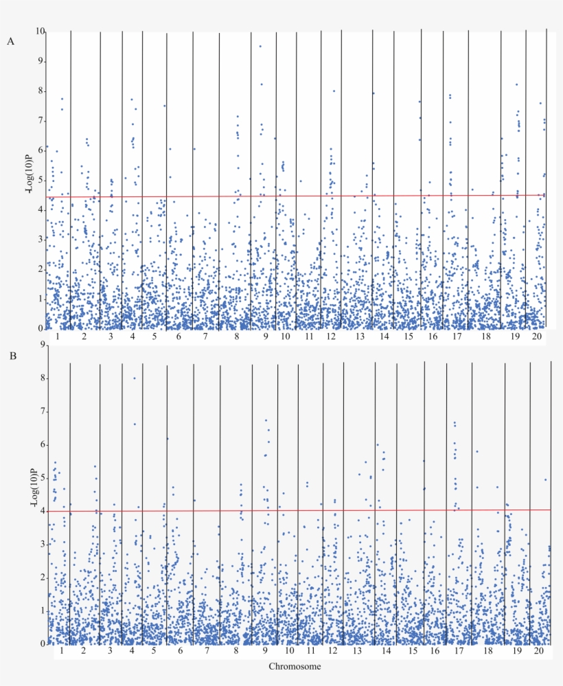 Manhattan Plot Of The Association Probability Between - Architecture, transparent png download