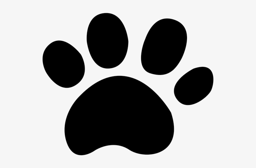 In Her Free Time She Enjoys Taking Long Walks With - Paw, transparent png download