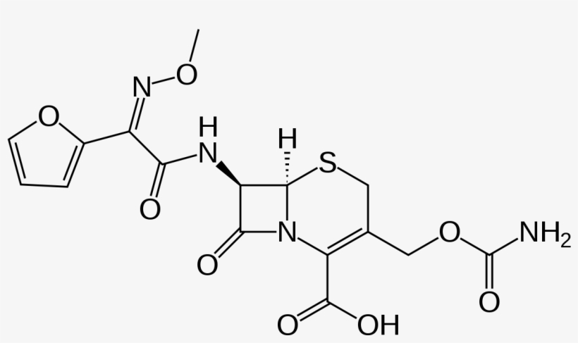 Cefalexin, transparent png download