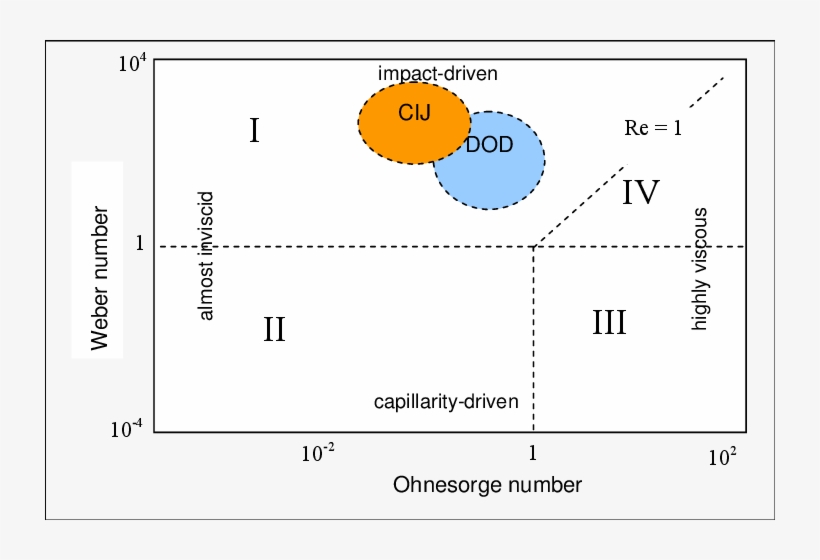Schematic Diagram Adapted From Schiaffino And Sonin - Liquid, transparent png download
