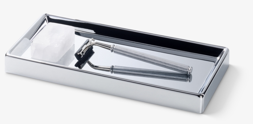 Shell, transparent png download