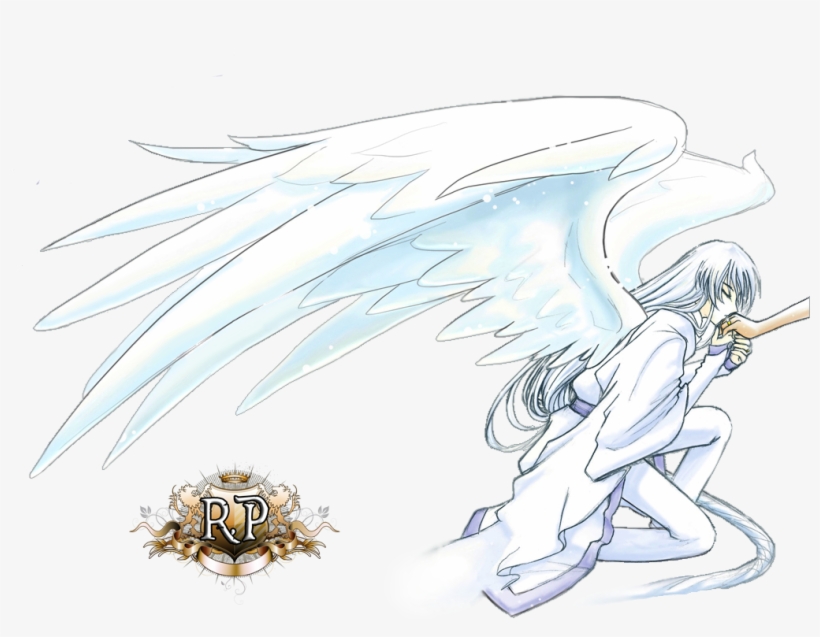 Anime Renders - Dragon, transparent png download