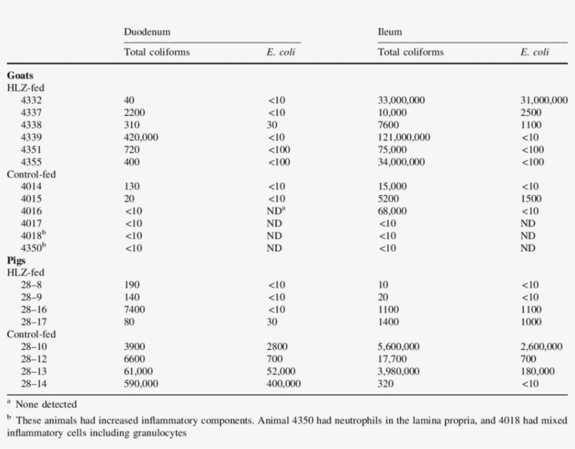 Coliform And Escherichia Coli Counts In The Small Intestine - E. Coli, transparent png download
