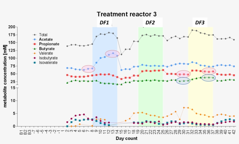 Short Chain Fatty Acid Profiles Induced In Polyferms - Graphic Design, transparent png download
