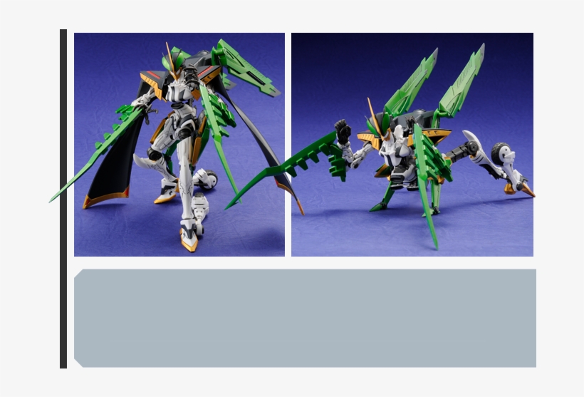 I Think Monica Just Became 1 Of My Favorite Knights - Insect, transparent png download