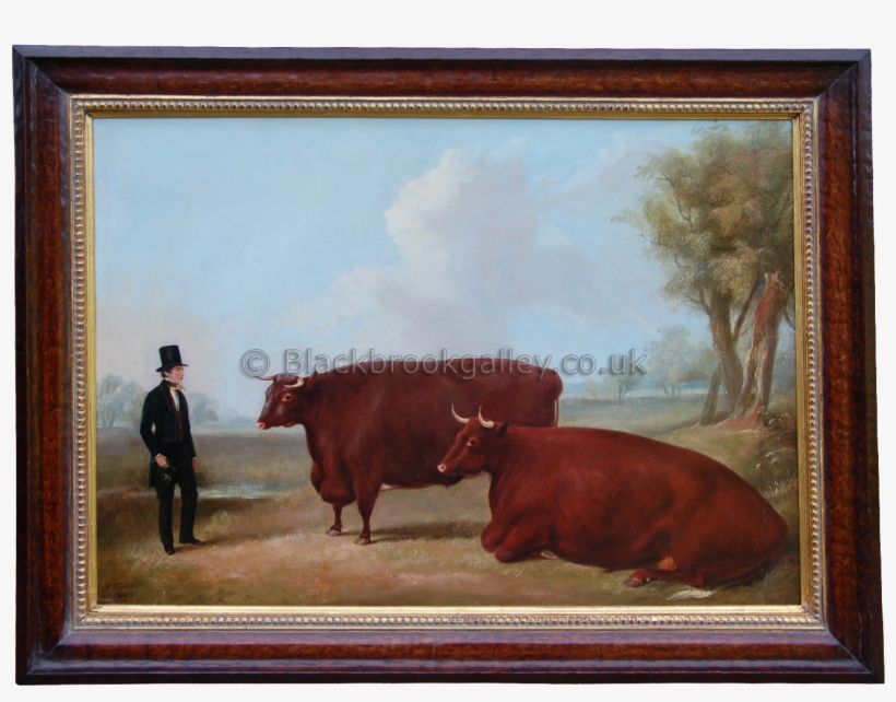 More Views - Picture Frame, transparent png download