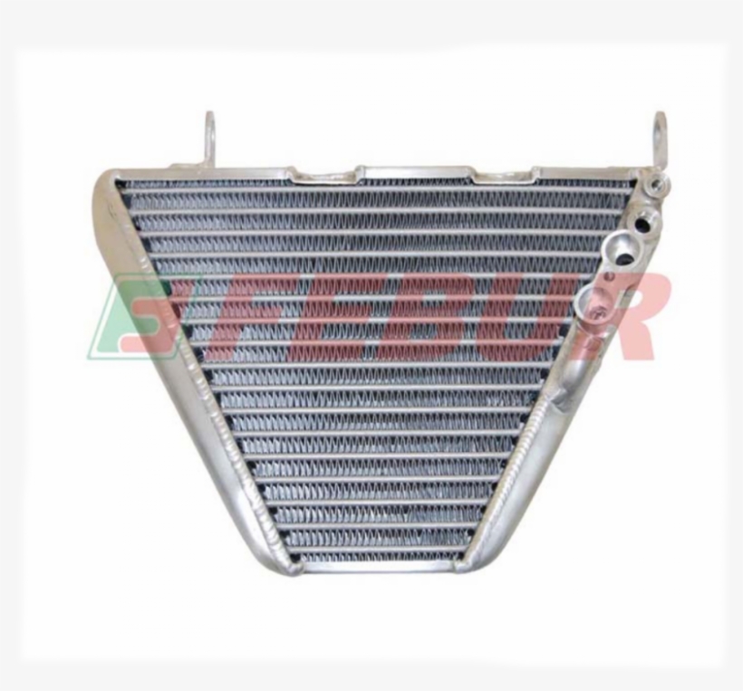 Ducati Monster Desmodue 600-s2r Febur Race Oil Cooler - Grille, transparent png download