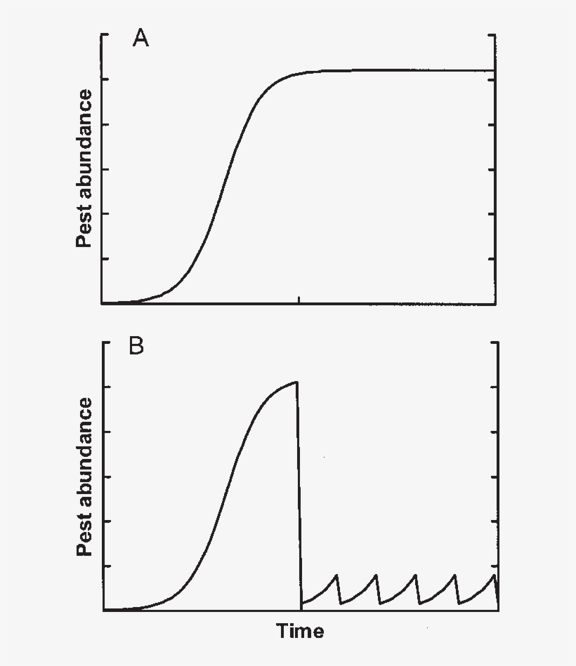 Invasive Fish Population Undergoing Logistic Growth - Diagram, transparent png download