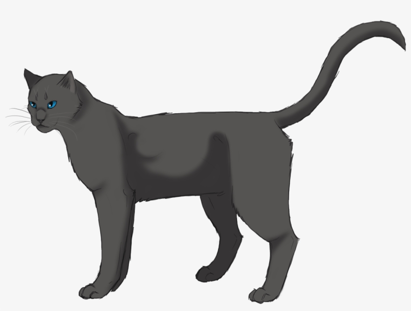 Rainwhisker - Cat, transparent png download