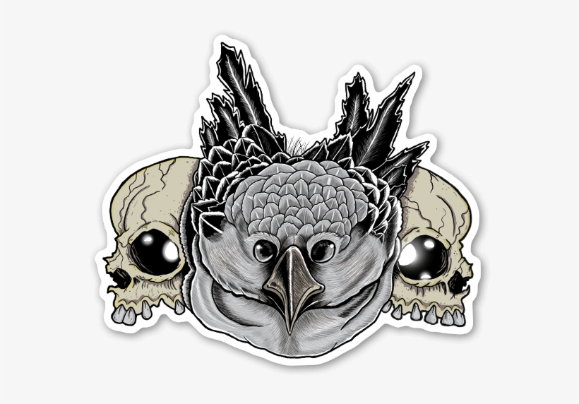 Owl Skull Sticker - Owl, transparent png download