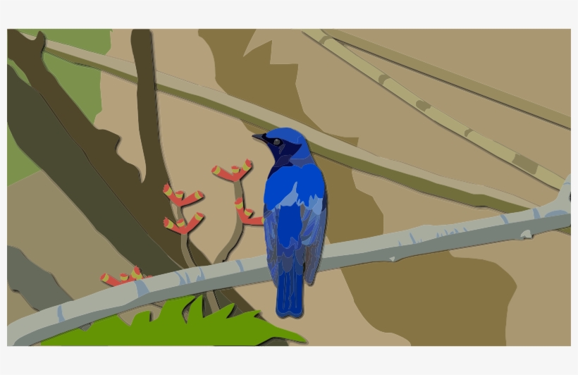 Medium Image - Bird, transparent png download