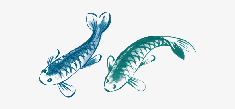 Koi Kitchen, transparent png download