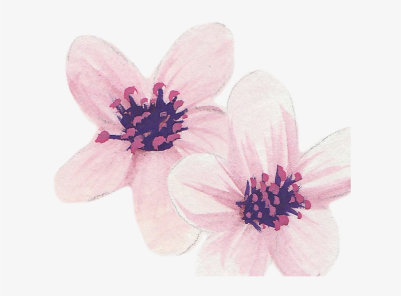 Countdown, transparent png download