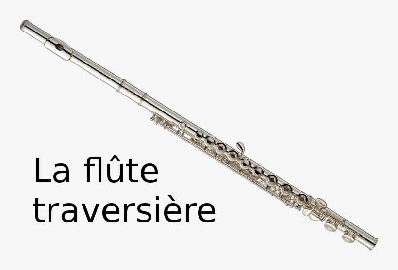 Flute Traversiere Png - Instruments Dans Pierre Et Le Loup, transparent png download
