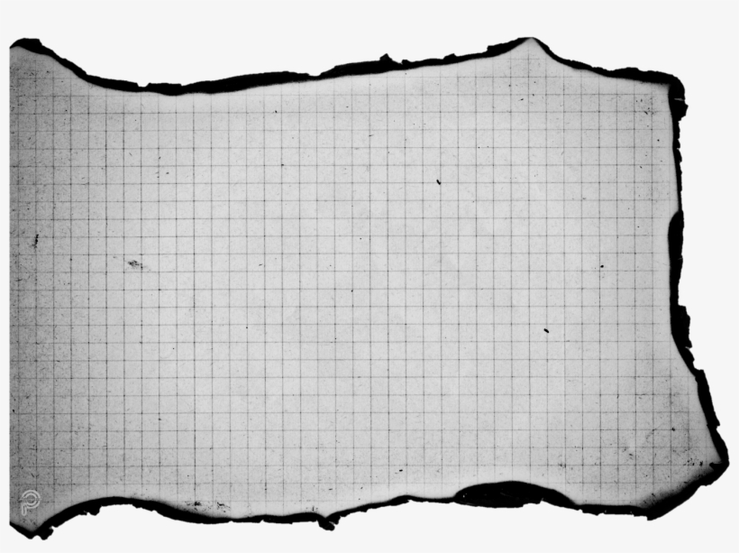 Report Abuse - Portable Network Graphics, transparent png download