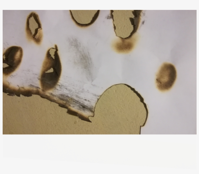 Using White Cartridge Paper I Was Able To Show A Better - Still Life Photography, transparent png download