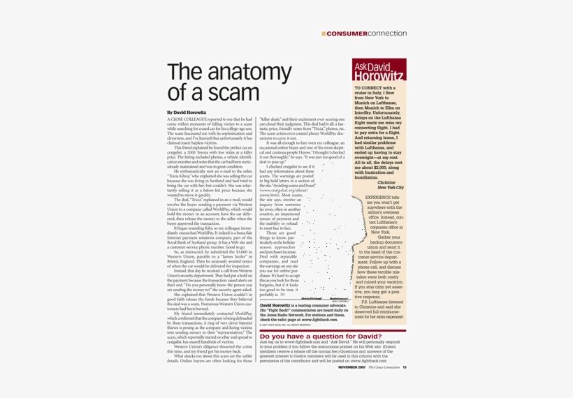 Invertebrate, transparent png download