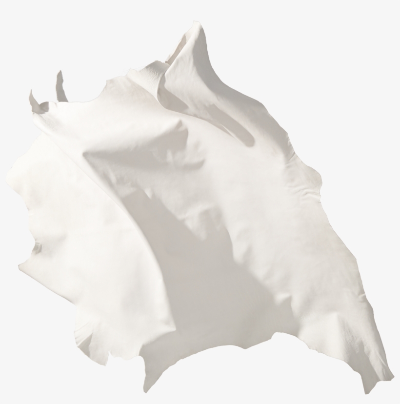 Leather Leather Sanyo - Flag, transparent png download