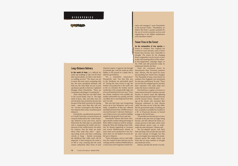 Document, transparent png download