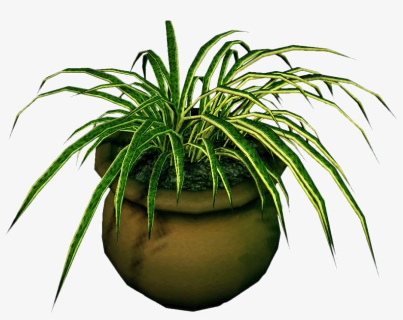 Potted Plant Png Clipart Free Library - Dead Rising 3, transparent png download