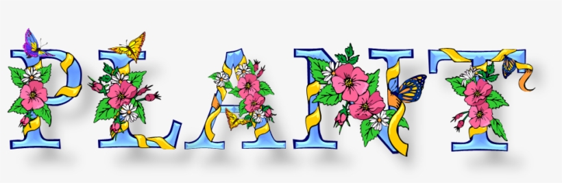 Potted, Plant, Society - Plants, transparent png download